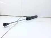 Heckklappe Gasdruckfeder rechts RENAULT VEL SATIS (BJ0_) 3.0 dCi (BJ0J, BJ0N) 8200238420