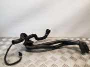 Schlauch Kühlung AUDI A5 Sportback (8TA) 3.0 TDI quattro 8K0819345E