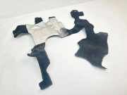 Heat Insulation NISSAN QASHQAI II (J11, J11_) 1.5 dCi 678104EA0A