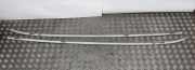Dachleiste links BMW X5 (E70) M
