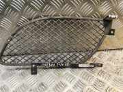 Kühlergrill rechts Jaguar XF (X250) AX2M15K232