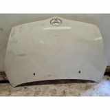 Motorhaube TOYOTA COROLLA Verso (ZER_, ZZE12_, R1_) 1.6 (ZNR10_)