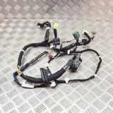 Kabel der vorderen linken Tür