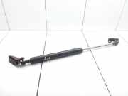 Heckklappe Gasdruckfeder rechts HONDA JAZZ II (GD_, GE3, GE2) 1.3 (GD1) SHOWA 3F23C