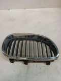 Gitter Grill vorne links BMW 5 Touring (E61) 530 d 609101