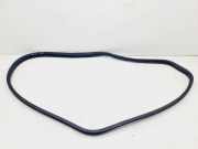 Türgummi links vorne Volvo XC60 II (246)