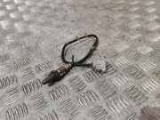 Sauerstoffsensor (Lambdasensor)