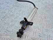 DÜSE SCHEINWERFERREINIGUNGSANLAGE RENAULT LAGUNA III (BT0/1) 2.0 dCi (BT01, BT09, BT12, BT1S) 1306201