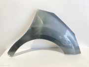 Kotflügel vorne rechts CITROËN C3 II 1.1