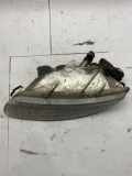 Blinker rechts vorne Rover 75 (RJ) 237182