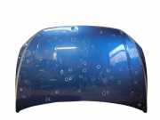 Motorhaube VW Polo V Van (6R)