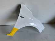 Kotflügel rechts vorne Hyundai i20 (GB)