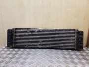 Ladeluftkühler Mercedes-Benz Sprinter 5t Kasten (906) A9065010201