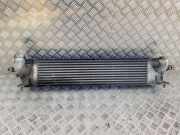 Teilepaket Sonstiges Nissan X-Trail II (T31) P3578001