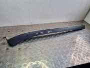 Zierleiste Windschutzscheibe Frontscheibe SEAT TOLEDO III (5P2) 1.9 TDI 5P0854542F 5P0854320C
