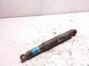 Stoßdämpfer hinten rechts RENAULT MEGANE I Coach (DA0/1_) 1.9 dTi (DA0N) 814903005407 310118