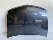 Motorhaube RENAULT VEL SATIS (BJ0_) 2.0 16 V Turbo