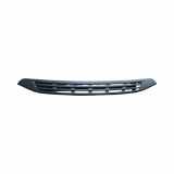 Gitter PEUGEOT BOXER Furgon (244) 2.0 HDi 1314820070