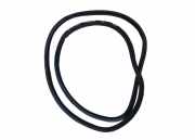 Türgummi links vorne VW Tiguan I (5N)