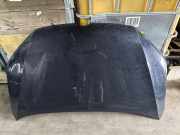 Motorhaube VW SHARAN (7N1, 7N2) 2.0 TDI