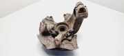 Achsschenkel (ABS) rechts vorne VW Golf IV (1J) 1J0256AG