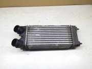 Ladeluftkühler PEUGEOT 3008 1.6 HDi 9656503980