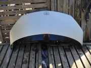 Motorhaube TOYOTA PREVIA (_R3_) 2.0 D-4D (CLR30_)