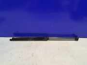 Gasfeder für Motorhaube Porsche Cayenne 2 (92A) 7P5823359A