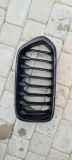 Gitter Grill vorne links BMW X2 (F39) X2 xDrive20d 7424777
