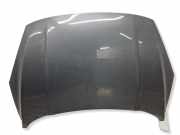 Motorhaube FORD KUGA III (DFK) 2.5 FHEV