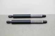 Heckklappe Gasdruckfeder links BMW 5 Touring (G31) 520 d 7499425 7499426