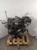 Motor ohne Anbauteile (Benzin) Fiat Ducato Kasten (244) F1AGL4113