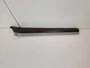 Türverkleidung rechts vorne Audi A8 (4E) 4E0867410