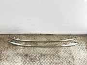 Dachreling links RENAULT KOLEOS I (HY_) 2.0 dCi 4x4 (HY0K)