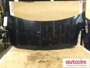 Motorhaube Toyota Yaris Liftback (P9) 533010D080