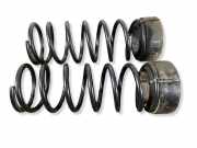 Fahrwerksfeder vorne rechts LAND ROVER DISCOVERY II (L318) 2.5 Td5 4x4