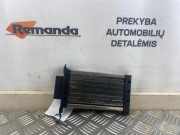 Elektrischer Schulterschulterkühler