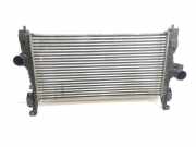 Ladeluftkühler Hyundai Sonata V (NF)