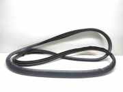 Türgummi links vorne Volvo C30 (533)