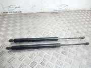 Heckklappe Gasdruckfeder links