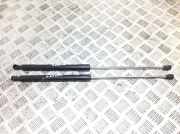 Motorhaubenstrebe vorne rechts RENAULT LAGUNA III (BT0/1) 2.0 dCi (BT08, BT0K, BT0J, BT14, BT1A, BT1D) 844300006R