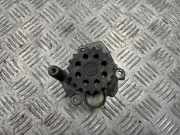 Wasserpumpe VW Passat B6 Variant (3C5) 038121019E