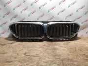 Kühlergrill oben BMW 5er (G30, F90) 311991A
