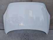 Motorhaube JAGUAR E-PACE (X540) 2.0 D 27021438