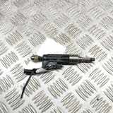 Einspritzdüse BMW 5 (G30) 530 i xDrive 0261500539 7639990