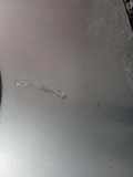 Motorhaube TOYOTA PREVIA (_R3_) 2.0 D-4D (CLR30_)