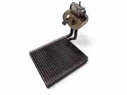 Klimaverdampfer Mercedes-Benz B-Klasse Sports Tourer (W245) 1718300184