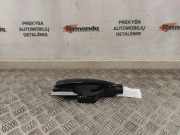 Türaußengriff hinten links RENAULT KADJAR (HA_, HL_) 1.6 TCe 165 806074307R 806071597R