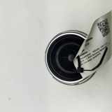 Frischluftgrill NISSAN JUKE (F16) DIG-T 117 68760-6PA0B