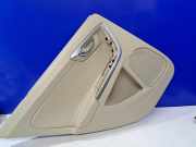 Türpolster hinten links